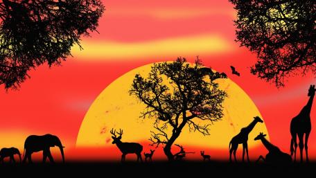 Sunset Silhouettes on the Savanna wallpaper
