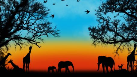 Savanna Sunset Wildlife Silhouette wallpaper