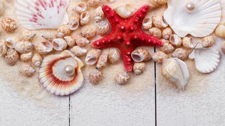 Coastal Treasures on Wooden Planks wallpaper