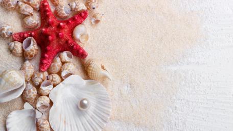 Vibrant Beach Treasures Under 4K Splendor wallpaper