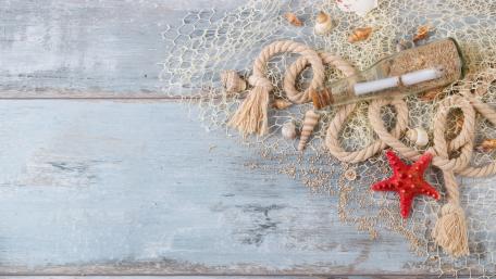 Calm Coastal Treasures For Your Space wallpaper