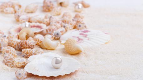 Beautiful Shells and Pearls on Sandy Shore wallpaper