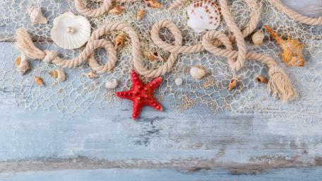 Coastal Treasures on Weathered Wood Planks wallpaper