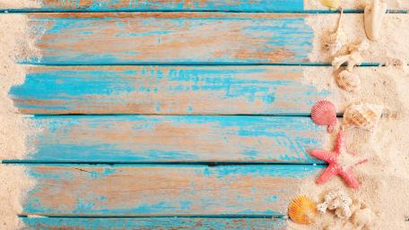 Beachside Serenity with Coastal Treasures wallpaper