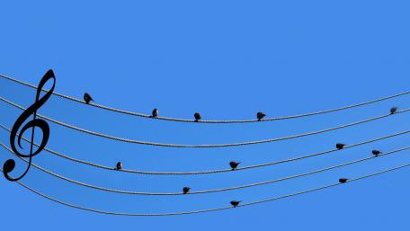 Melodic Birds on a Wire wallpaper