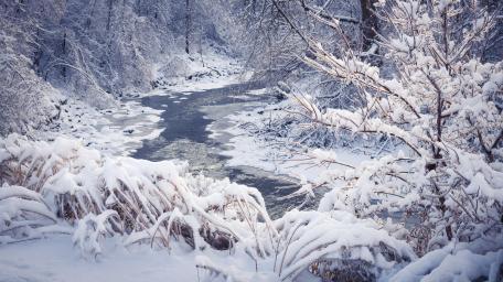 Serene Winter River in a Snowy Forest Scene wallpaper