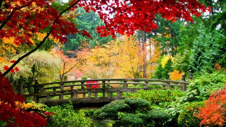 Portland Japanese Garden wallpaper
