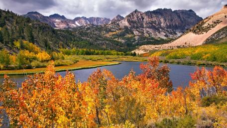 Vibrant Autumn Serenity in Nature's Embrace wallpaper