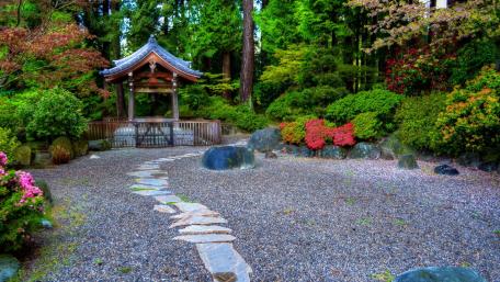 Park in Vancouver wallpaper