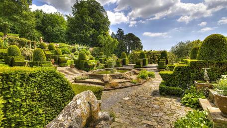 Lush Garden Paradise Awaits You wallpaper
