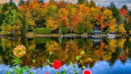 Autumn Serenity in Colorful Reflections wallpaper