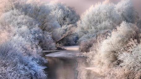 Serenity in a Winter Wonderland wallpaper
