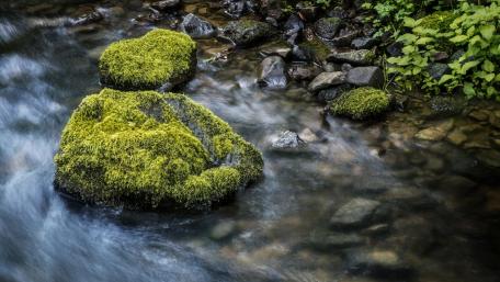 Mossy Stones by a Gentle Riverbed Displaying Nature's Beauty wallpaper