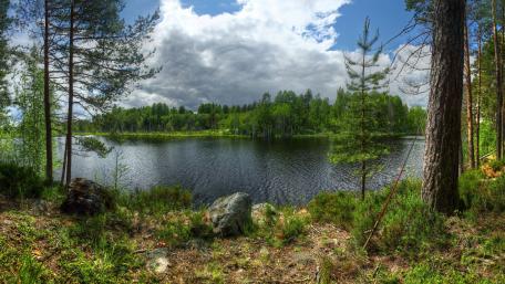 Tranquil River View in Springtime wallpaper
