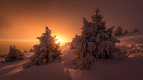 Winter Sunset Over Snowy Trees in a Serene Landscape wallpaper