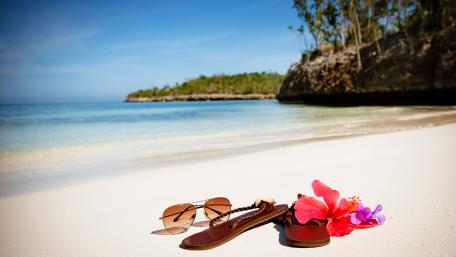 Summer Bliss on the Beach wallpaper