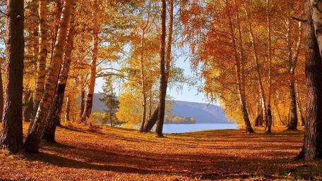 Autumn Serenity by the Lake wallpaper