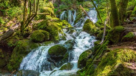 Lush Waterfall Cascading Over Mossy Stones wallpaper