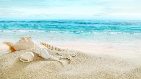 Tranquil Beach Serenity Wallpaper wallpaper