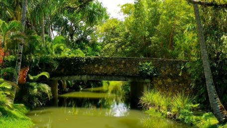 Serene Stone Bridge in Lush Greenery wallpaper