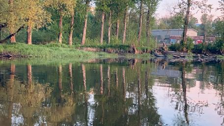 Tranquil River Reflections Amidst Lush Greenery wallpaper