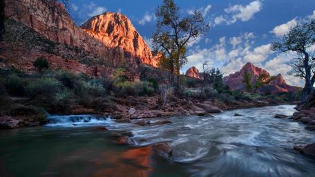 Serenity by the Riverbank wallpaper