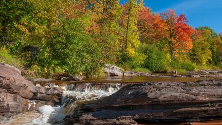 Autumn Serenity by the River wallpaper