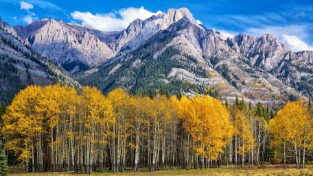 Majestic Autumn Mountains with Golden Foliage wallpaper