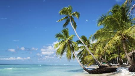 Tropical Paradise Under the Sun wallpaper