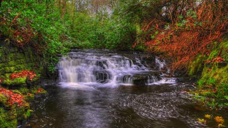 Serene Waterfall in Lush Greenery wallpaper