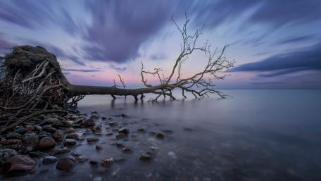Serene Dusk by the Water’s Edge wallpaper