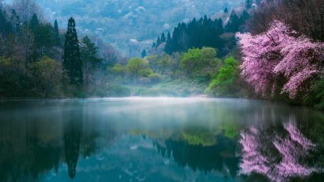 Serene Spring Reflections on a Tranquil Lake wallpaper