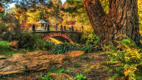 Serene Park Bridge Amidst Nature's Embrace wallpaper