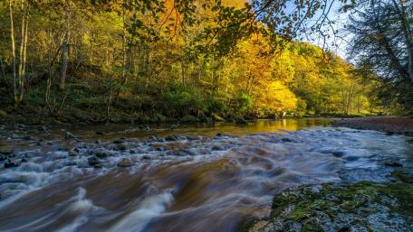 Serene Autumn River View Amidst Vibrant Foliage wallpaper