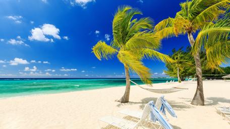 Tropical Paradise Under the Sun wallpaper