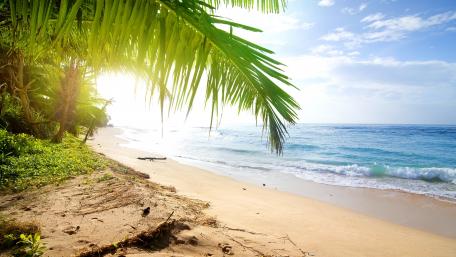Tropical Beach Serenity and Bliss wallpaper