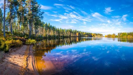 Tranquil Lake Reflections Amidst Nature’s Beauty wallpaper