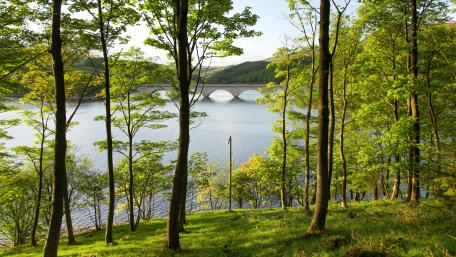 Tranquil Spring Bridge Over Sparkling River wallpaper