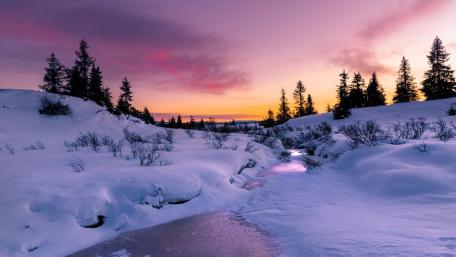 Winter's Tranquil Frozen Creek wallpaper