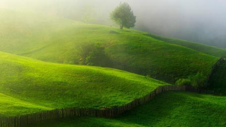 Serene Green Hills Amidst Mystical Fog wallpaper