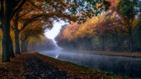 Autumn Road in the Rainy Forest wallpaper