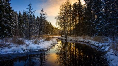 Winter Tranquility by the River wallpaper