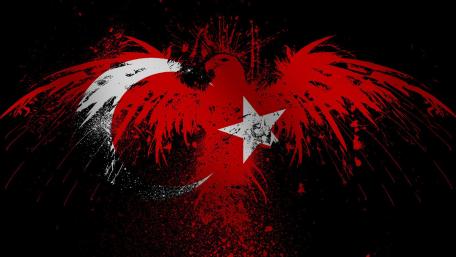 Eagle With Turkish Flag Wings wallpaper