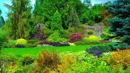 Queen Elizabeth Park wallpaper