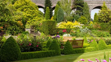 Serene Garden Escape with Lush Greens and Blooms wallpaper