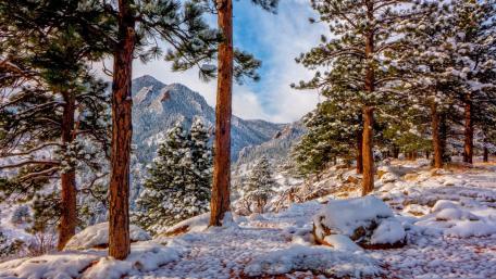 Rocky Mountains at wintertime wallpaper