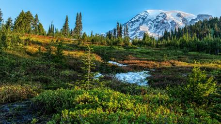 Mount Rainier wallpaper