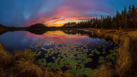 Golden Twilight Over Serene Waters wallpaper
