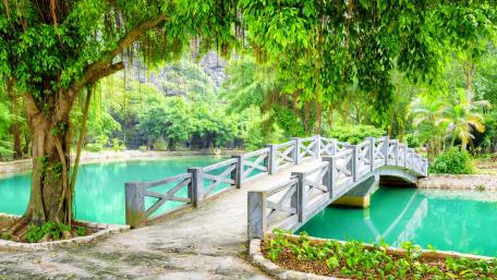 Serene Garden Bridge Over Tranquil Pond wallpaper