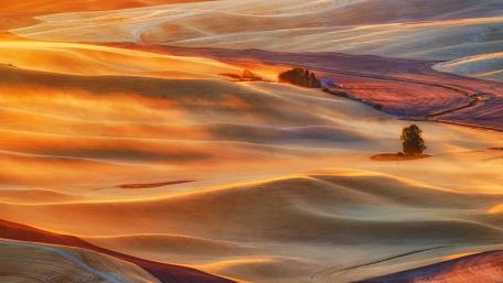 Golden Waves of Nature's Canvas wallpaper
